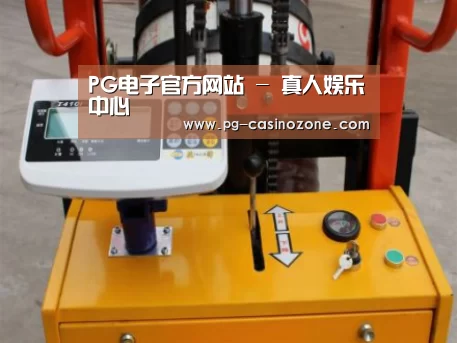 PG电子案例展示三(图1)