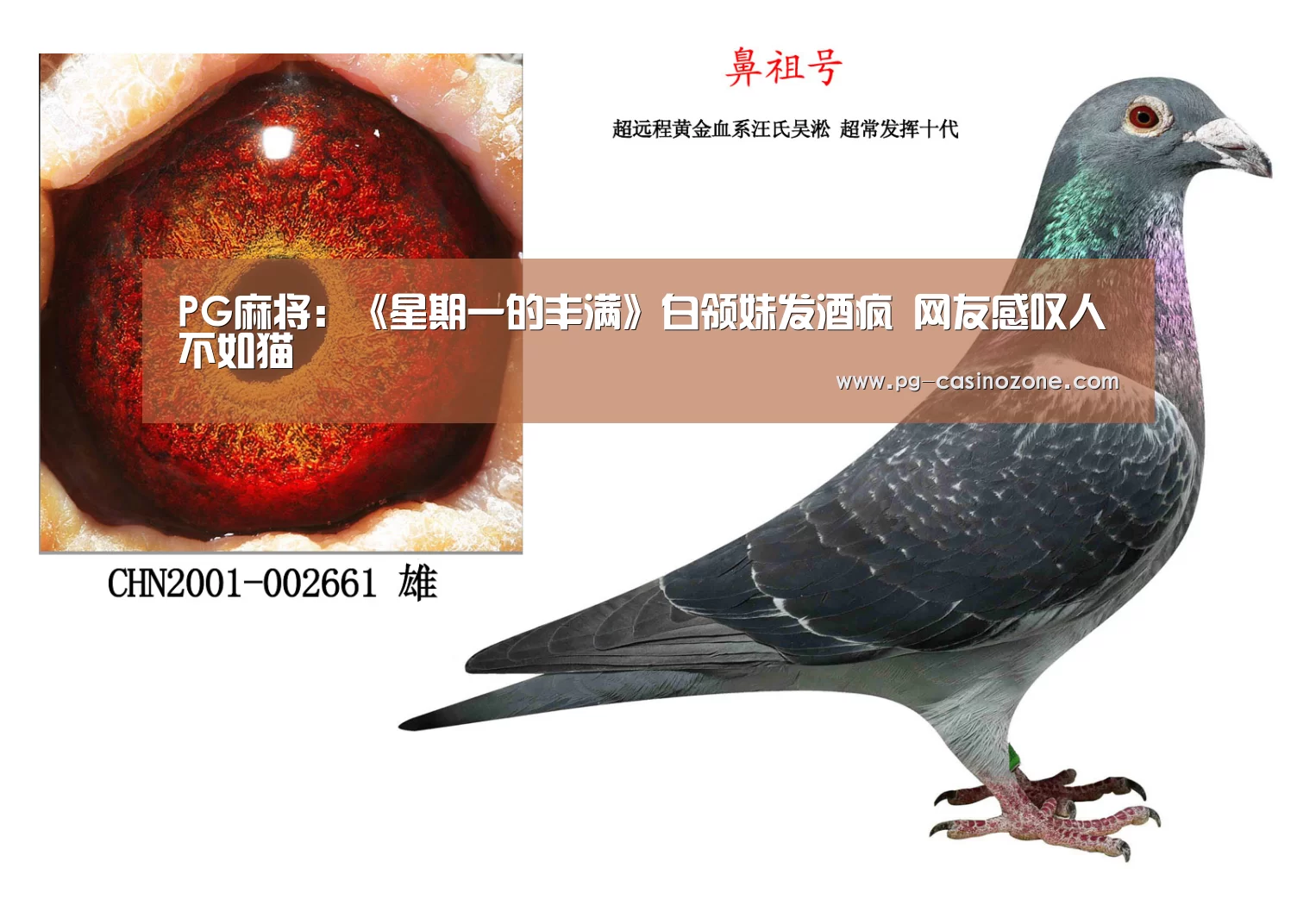 PG麻将